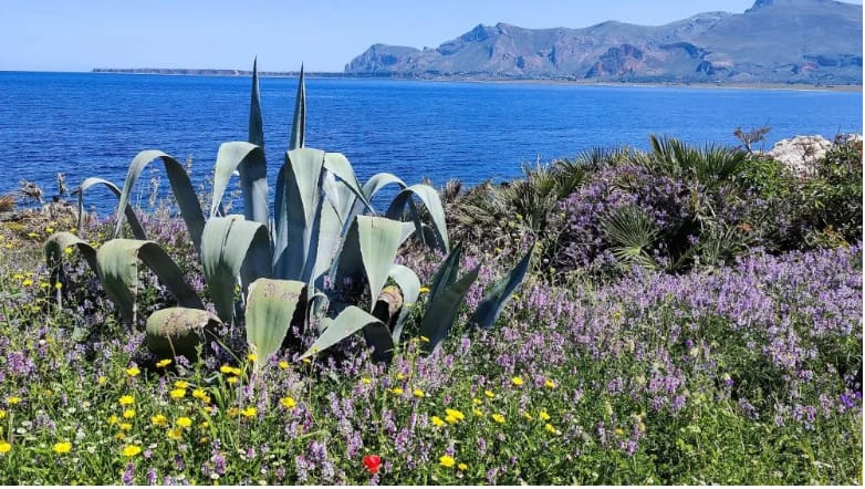 Costa di Marsala